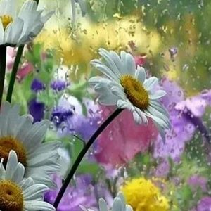 Meet your Posher, Terri